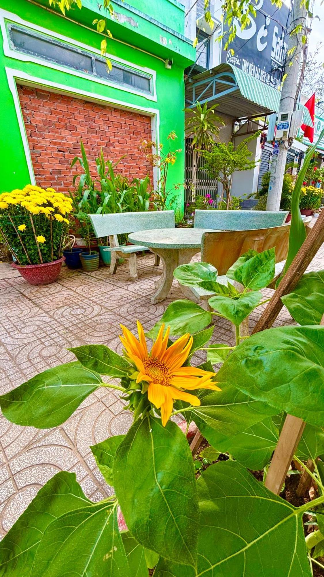 لونغ  هاي Thuy Hang Motel المظهر الخارجي الصورة